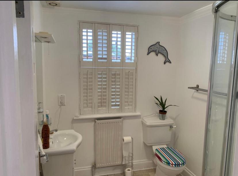 Проживание в семье Stylish Modern Studio, Mock Georgian House, Heart Of Trendy Hackney & Лондон