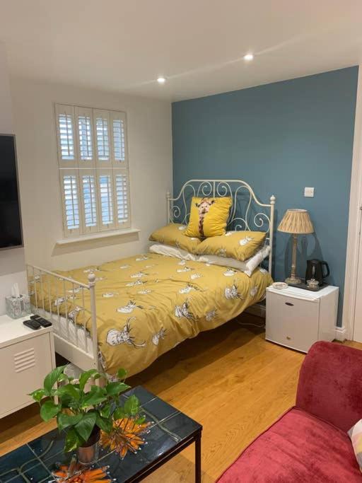 Alloggio in famiglia Stylish Modern Studio, Mock Georgian House, Heart Of Trendy Hackney & Londra